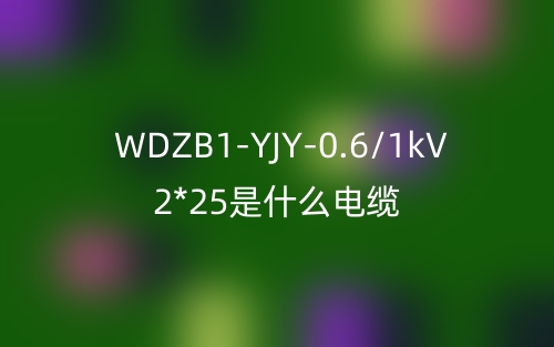 WDZB1-YJY-0.6/1kV 2*25是什么电缆？(图1)