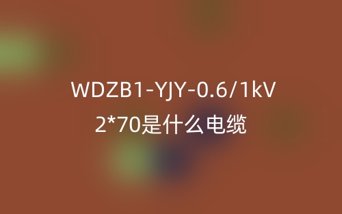 WDZB1-YJY-0.6/1kV 2*70是什么电缆？(图1)