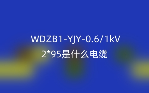 WDZB1-YJY-0.6/1kV 2*95是什么电缆？(图1)