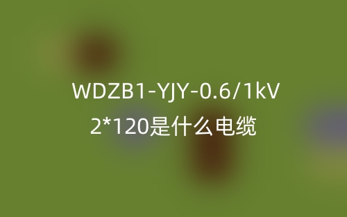 WDZB1-YJY-0.6/1kV 2*120是什么电缆？(图1)