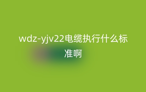 wdz-yjv22电缆执行什么标准啊？(图1)