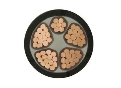 0.6/1KV YJV、YJLV4+1芯交联电力电缆外径、重量及载流量表(图1)