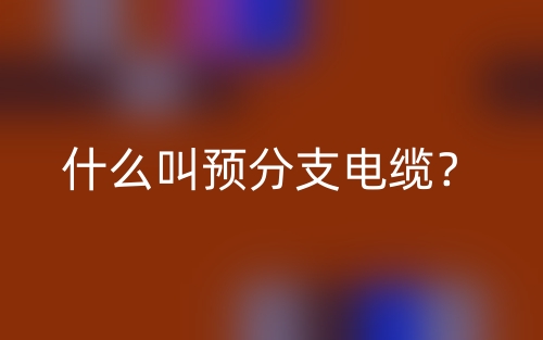 什么叫预分支电缆？(图1)