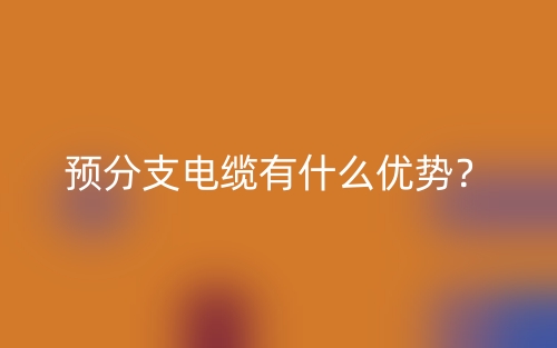 预分支电缆有什么优势？(图1)