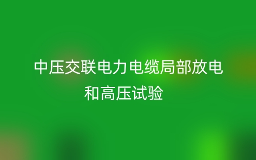 中压交联电力电缆局部放电和高压试验(图1)