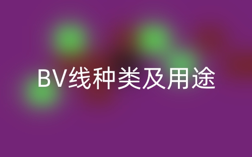 BV线种类及用途(图1)