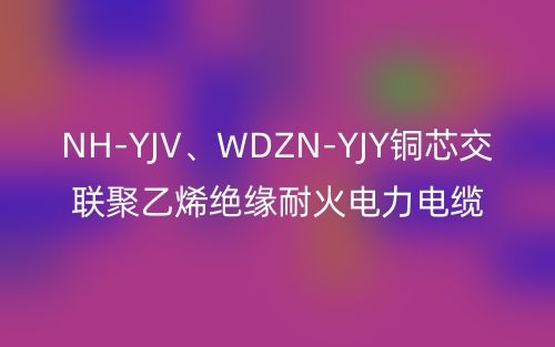 NH-YJV、WDZN-YJY铜芯交联聚乙烯绝缘耐火电力电缆(图1)