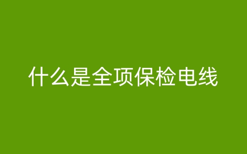 什么是全项保检电线？(图1)