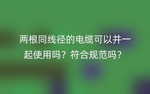 两根同线径的电缆可以并一起使用吗？符合规范吗？(图1)